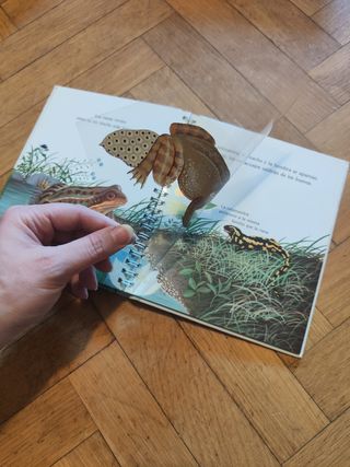 2 libros infantiles 3-6 años