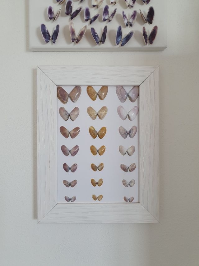 Quadro conchiglie farfalle