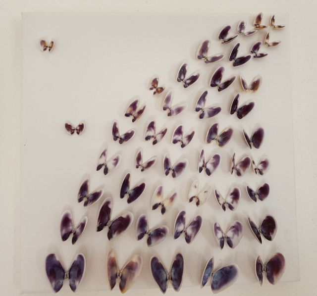 Quadro decorativo conchiglie