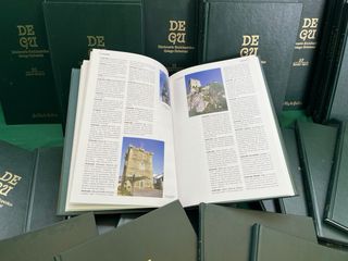 diccionario enciclopedico degu