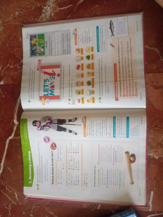 Bloggers 6e - Livre de l'élève: Connected with ...