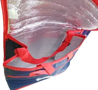 Nevera Playa - 36L