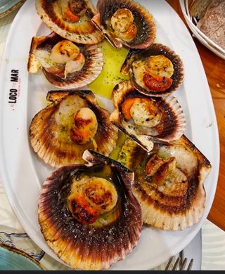 Se busca camarero o camarera y ayudante de cocina