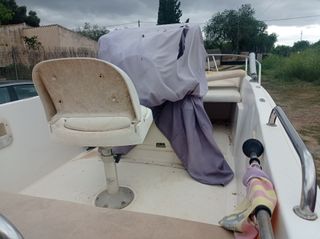 Embarcación Playamar 4,60m - 50cv