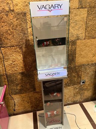 Expositor relojes joyería