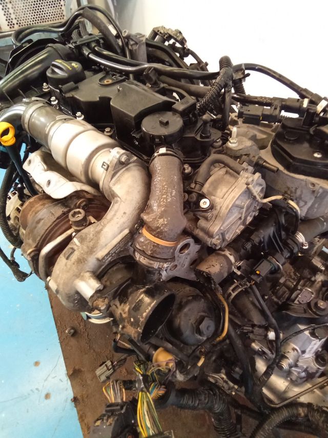 Motor Completo Ford 1.6 TDCI 95CV T3DA