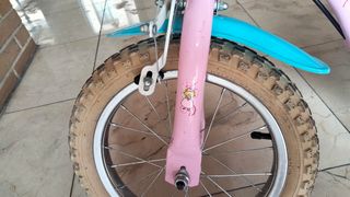 Bicicleta niña 16" con ruedines.