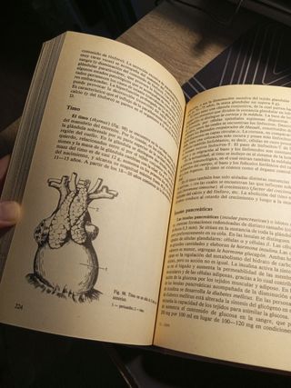 Anatomía y fisiología humanas 