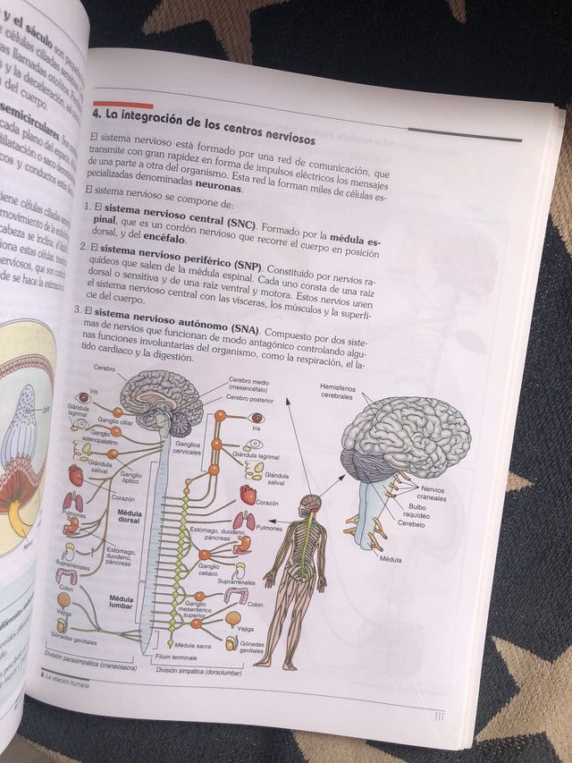 BIOLOGIA Y GEOLOGIA 3ª ESO EDITEX - CIEN