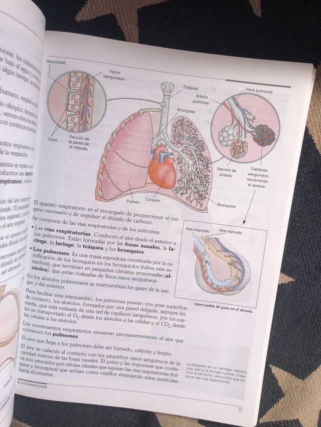 BIOLOGIA Y GEOLOGIA 3ª ESO EDITEX - CIEN