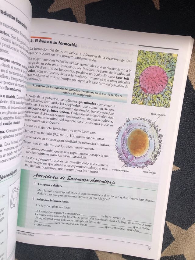 BIOLOGIA Y GEOLOGIA 3ª ESO EDITEX - CIEN