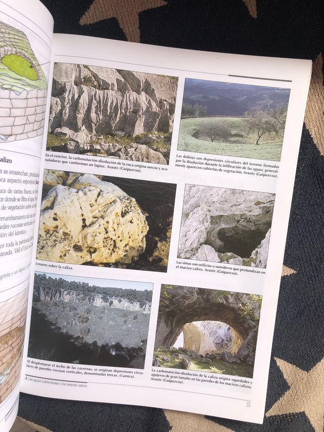 BIOLOGIA Y GEOLOGIA 3ª ESO EDITEX - CIEN