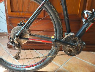 Bicicleta montaña WST Poison