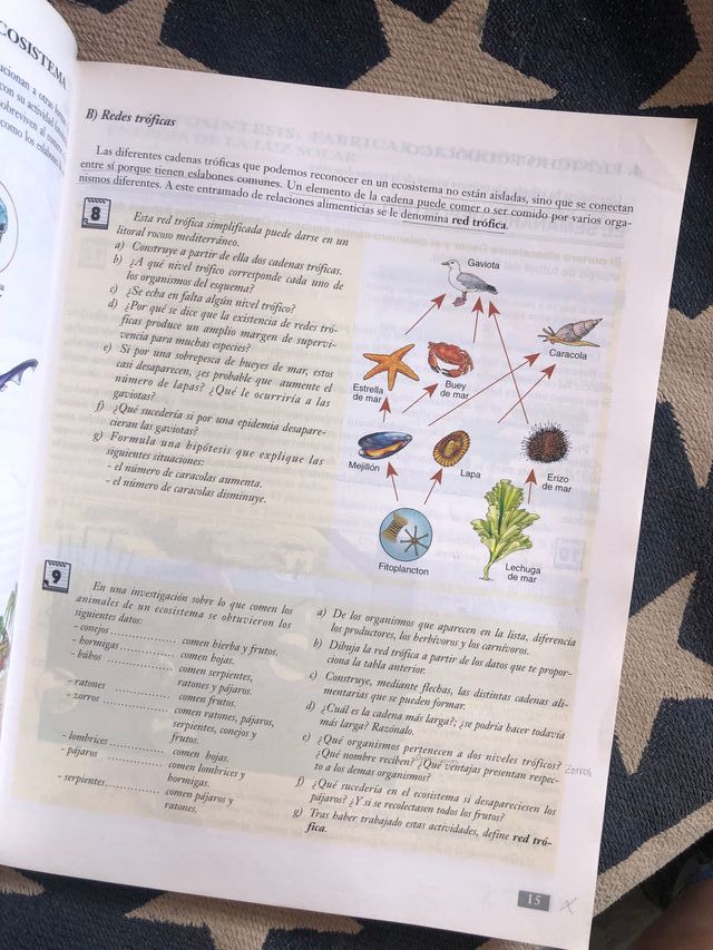 Biologia-Geologia, 4 Eso, 2 Ciclo
