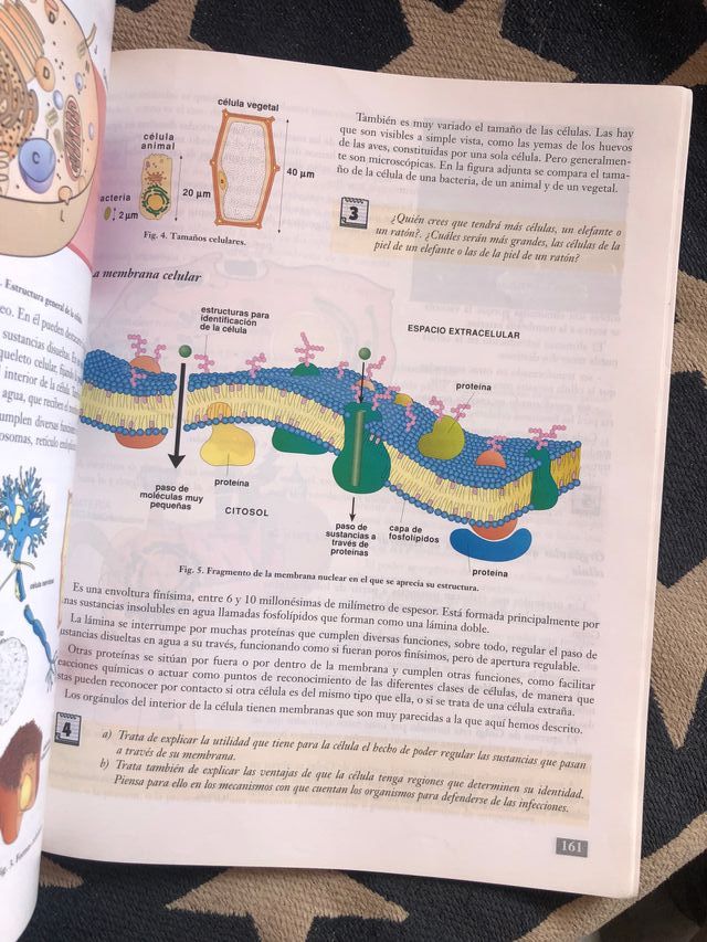 Biologia-Geologia, 4 Eso, 2 Ciclo
