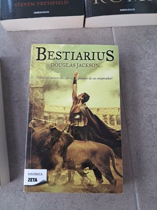 Lote novela histórica 