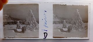Fotografía estereoscópica. Nieve