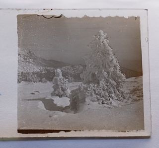 Fotografía estereoscópica. Nieve