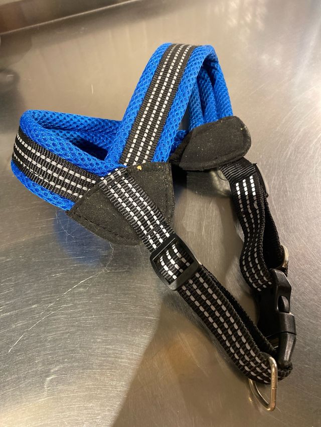 Arnés Perro Azul 