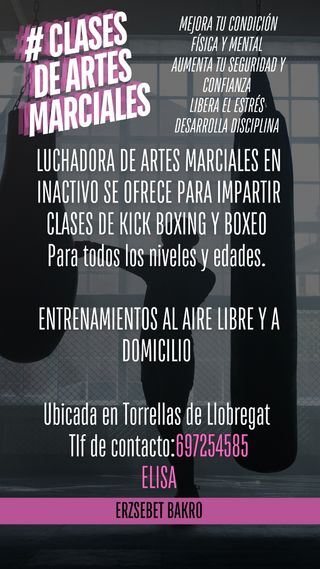 Imparto clases particulares de kick boxing, boxeo.
