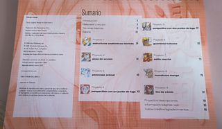 Libro DIBUJA MANGA