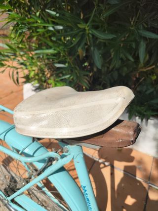Bicicleta vintage de mujer