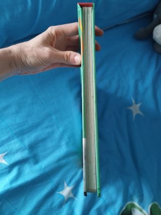 Libro infantil: Mentes Curiosas