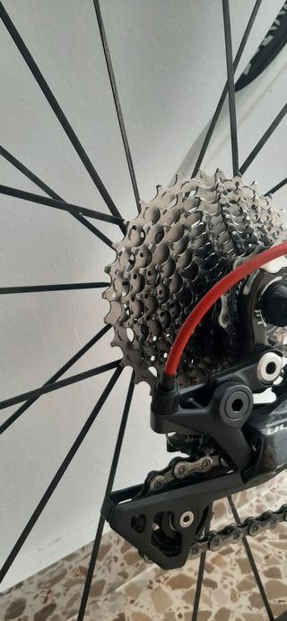 Bicicleta Carretera Carbono