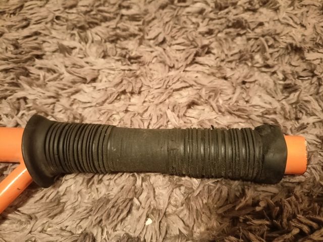 Patinet Taronja Usat