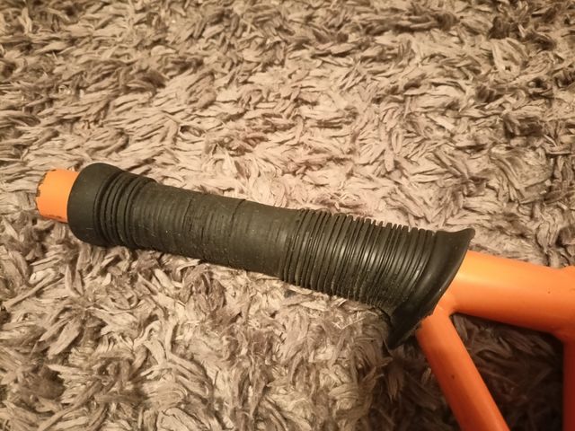 Patinet Taronja Usat