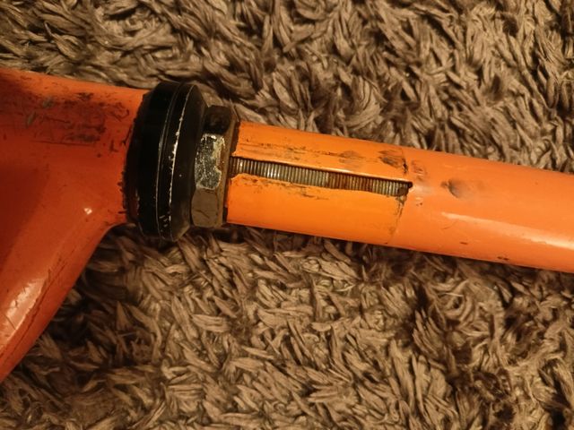 Patinet Taronja Usat