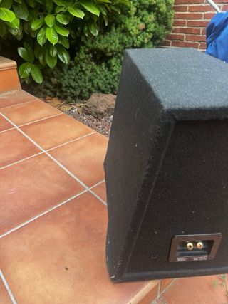 Subwoofer coche Sony Xplod 1800W
