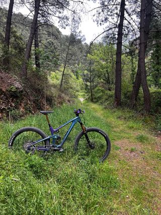 Bicicleta Giant Trance X