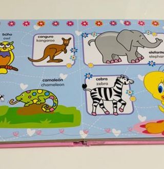 Libros palabras ingles- español (venta individual)