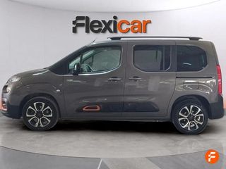 Citroën Berlingo Talla M BlueHDi 130 S&S EAT8 SHINE