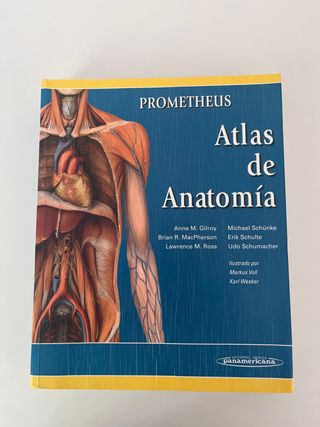 Prometheus. Atlas de Anatomía (Spanish Edition)