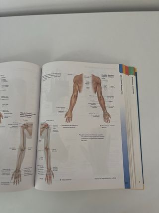 Prometheus. Atlas de Anatomía (Spanish Edition)