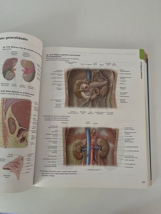 Prometheus. Atlas de Anatomía (Spanish Edition)