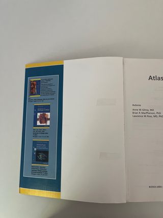 Prometheus. Atlas de Anatomía (Spanish Edition)