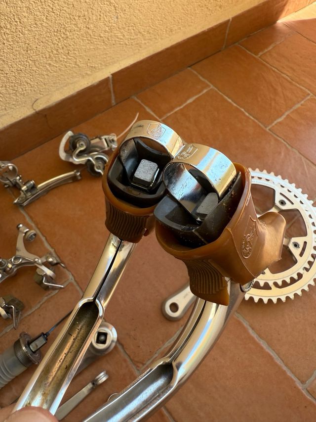 Gruppo Campagnolo Triomphe