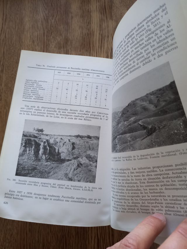 Fitosociología,bases para el estudio com.vegetales