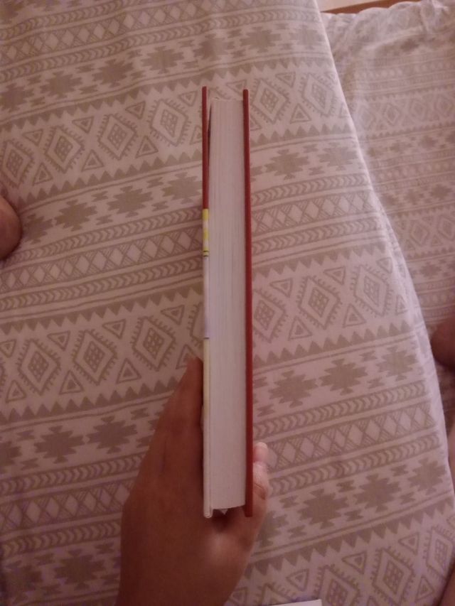 EL CASO DE PAPÁ NOEL (Spanish Edition)