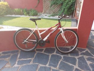Bicicleta Topbike 50 montaña