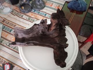 Tronco madera acuario