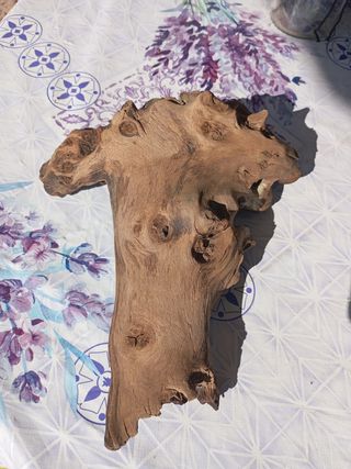 Tronco madera acuario