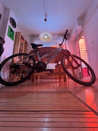 Bicicleta Topbike Talla M