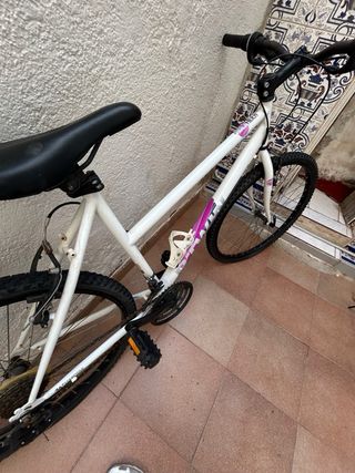 Bicicleta paseo montaña blanca