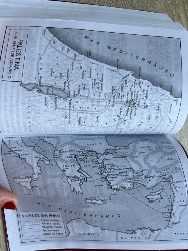 Nuevo testamento. Letra grande. Plástico