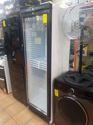 Nevera Tefcold - 599
