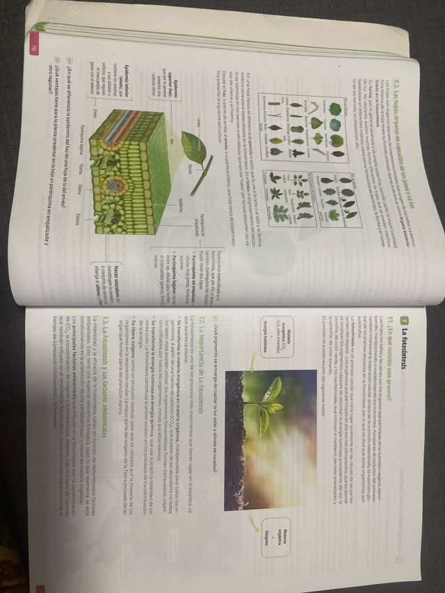 Biología, Geología y Ciencias Ambientales. 1 Ba...